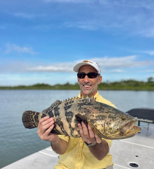 Key Largo Majestic Grouper 